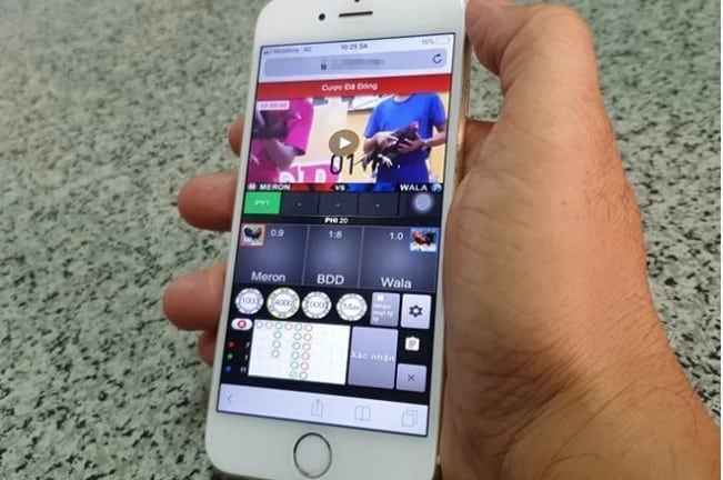 Cách chơi cá cược đá gà online dễ hiểu cho người mới